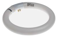 548-195 RS PRO 22 W Fly Killer Light, 203 mm, Round, Shatterproof / Fragment Retention