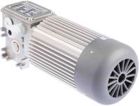 mc-440p3t-75-b3 Mini Motor Induction Geared AC Geared Motor, 180 W, 3 Phase, 230 V, 400 V