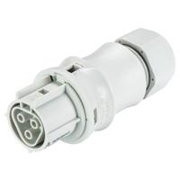 9603140530 Wieland RST CLASSIC Series Connector, 3-Pole, Female, 3-Way, Push-In, 20A, IP66, IP68, IP69