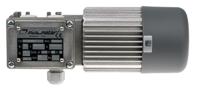 mc-320p2t-70-b3 Mini Motor Reversible Induction Geared AC Geared Motor, 74 W, 3 Phase, 230 V, 400 V