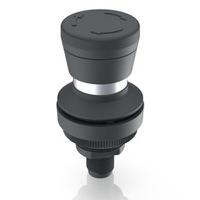 1110610010001 RAFI RAMO 30 T Series Illuminated Push Button Switch, Latching, Through Hole, 30.3mm Cutout, DPST, 35V, IP65, IP66, IP67