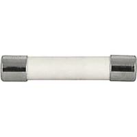 80200603g Schurter 12A T Ceramic Cartridge Fuse, 6.3 x 32mm