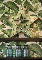 80100038297 Bailey Electric & Electronics bv LED Filament Tube BA15d LED Bulbs 1 W(6W), 2700K, Warm White, Single Ended shape