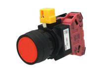 hw1b-m102r Idec HW Series Series Push Button, Momentary, Panel Mount, 22.3mm Cutout, DPST, Red LED, 600V, IP20, IP65