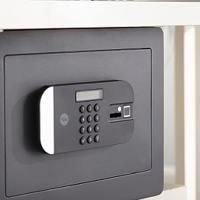 ysfm250eg1 Yale 18.6L Safe Safe