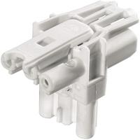 9203030530 Wieland GST18i Series T-Distributor, 3-Pole, 3-Way, 20A, IP20