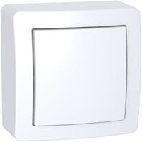alb62051p Schneider Electric White 1 Gang Frame