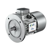 tp-sl80b4-075-230400-50-b5-mv Motovario M Reversible Asynchronous AC Motor, 0.75 kW, IE3, 3 Phase, 4 Pole, 400 V, Flange Mount Mounting