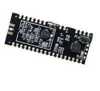 gamma62m-89s RF Solutions, LoRa Module -148dBm Receiver Sensitivity