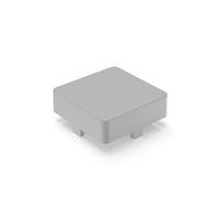 5466810211510 RAFI Push Button Bezel for Use with RAFIX 22