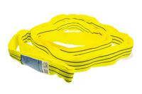 729-2990 RS PRO 2.5m Yellow Lifting Sling Round, 3t