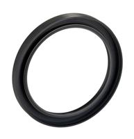 100x125x12-hmsa10-rg SKF Nitrile Rubber Seal, 100mm ID, 125mm OD, 12mm