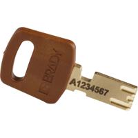 150247 Brady LOTO-101 Key Weatherproof Nylon, Steel Padlock, 6.35mm Shackle, 38.00mm Body