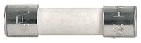 00011016 Schurter 16A F Ceramic Cartridge Fuse, 5 x 20mm