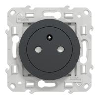s540052 Schneider Electric Anthracite 1 Gang Plug Socket, 2 Poles, 16A, French 2P, Indoor Use