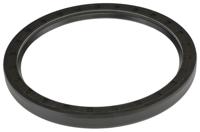 160x190x15-hms5-rg SKF Seal, 160mm ID, 190mm OD, 15mm