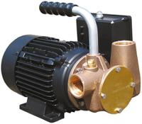 53041-2003-110 Xylem Jabsco Centrifugal Electric Operated Positive Displacement Pump, 35L/min, 110 V