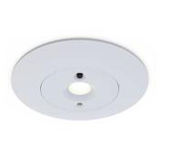 ameledoa3nmst Ansell Lighting LED Downlight, 220/240 V, 85 x 57 mm, 5 W