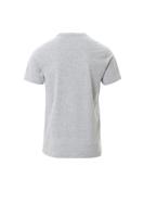 001576-0252-13001-s Payperwear Grey 7% Viscose, 93% Cotton Short Sleeve T-Shirt, UK- S, EUR- S