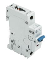 1492-spm1c100 Allen Bradley 1492 1492-SPM MCB, 1P, 10A Curve C, 277V AC, 48V DC, 10 kA Breaking Capacity