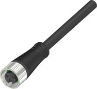283-4915 RS PRO Female 3 way Straight M8 to Unterminated Free Cable End Actuator/Sensor Cable, 5 m