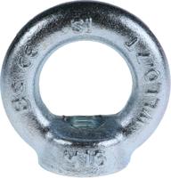 124-4843 RS PRO Carbon Steel Eye Nut, M16 Thread, 35mm Internal Eye Diameter, 63mm Outer Eye Diameter, 0.7t Load