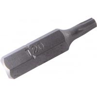 e-214-t40 SAM Torx Screwdriver Bit, 5/16 in Tip, 5/16 in Drive, Square Drive, 35 mm Overall