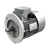 th71b4-037-230400-50-b5-mv-cn Motovario TH-TBH Induction AC Motor, 370 W, IE2, 3 Phase, 4 Pole, 230/400 V