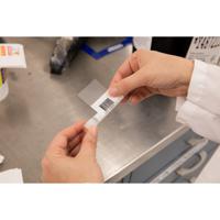 m5-116-417 Brady B-417 on Black on White, Transparent Label, 38.10 mm Width, 38.10mm Label Width