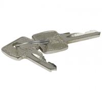 0-365-45 Legrand Key with 2433 A barrel