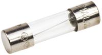 0218001mxp Littelfuse 1A T Glass Cartridge Fuse, 5 x 20mm
