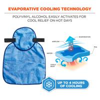 12596 Ergodyne 6717CT Blue Hard Hat, Ventilated