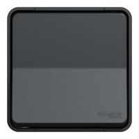 mur35026 Schneider Electric Mureva Styl Series Light Switch, Surface Mount, 250V, IP55