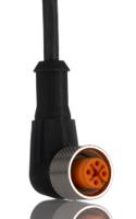29165-rkwt-4-3-22410-m Lumberg Automation Female 4 way M12 to Unterminated Free End Sensor Actuator Cable