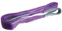 124-4878 RS PRO 6m Purple Lifting Sling Webbing, 1t