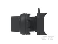 ise222sn2 TE Connectivity ALCOSWITCH, 2 Position Rotary Switch