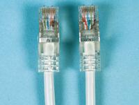 spe190721 Decelect, 4m Cat5, Grey RJ45 to Male RJ45 Male, F/UTP Shielded, Terminated