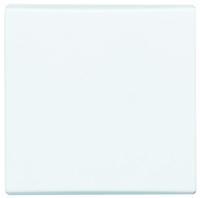 2106-32 Busch Jaeger - ABB White 1 Gang Blanking Plate