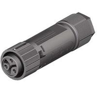 4603145531 Wieland RST16i2/3 Series Mini Connector, 3-Pole, Female, Cable Mount, 16A, IP66, IP68, IP69
