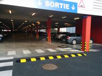 898-7188 RS PRO High Visibility Rubber Speed Bump, 250 mm x 400mm x 70 mm, 15km/h Speed Limit