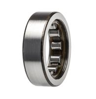 rnu-203-tn9 SKF RNU 203 TN9 22.9 mm ID Roller Bearing, 40 mm OD