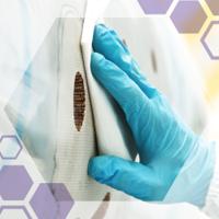 7558 KIMTECH KIMTECH Science Dry Cleanroom Wipes, Box of 200, 200mm