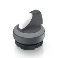 1302721012208 RAFI Selector Switch - 22.3mm Cutout Diameter, Illuminated 1 Positions