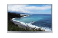 254-0010 RS PRO TFT TFT LCD Display, 10.1in WXGA, 1280 x 800 pixels