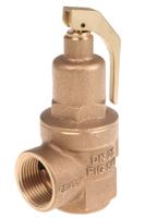 n-542-025-5-bar Nabic Valve Safety Products 5bar Pressure Relief Valve With Female BSP 1 in BSP Female Connection and a BSP 1 Exhaust