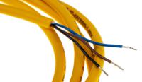 pkg-3z-2 Turck Female 3 way M8 to Free End Sensor Actuator Cable, 2 m