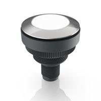 1110110010220 RAFI RAMO 30 T Series White Indicator, 20 → 28V dc, 30.3mm Mounting Hole Size, Threaded Ring Termination, IP66,