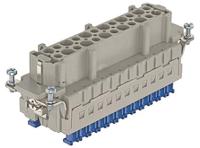 09330242748 HARTING Heavy Duty Power Connector Insert, 16A, Female, Han ES Press Series, 24 Contacts