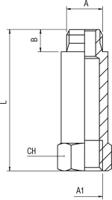 176-1006 RS PRO Brass Pipe Fitting, Straight Threaded Increaser, Male 1/4in to Female 1/4in