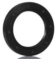 45x65x8-hmsa10-rg SKF Nitrile Rubber Seal, 45mm ID, 65mm OD, 8mm